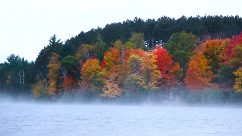 Looking at Trees in Fall Colors From River with Fog Stock Footage 115270282