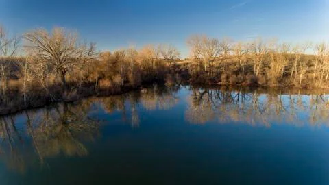Looking into the trees from the lake during fall Stock Photos