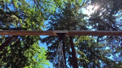 Looking up at trees while the camera pans or tilts. Stock Footage 340449616