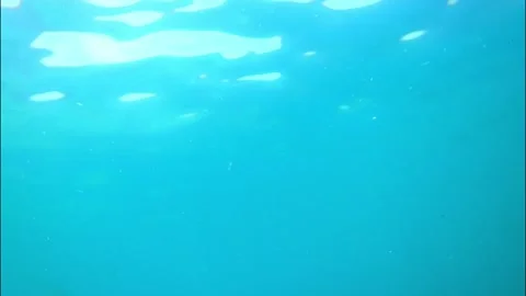 Looking up from under the water Stock Footage 175473359