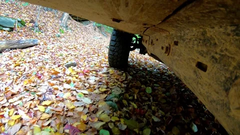 Looking Underneath Off Road Vehicle Driving Over Leaves Stock Footage 257725301
