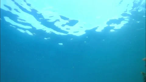 Looking up from underwater Stock Footage 175474573