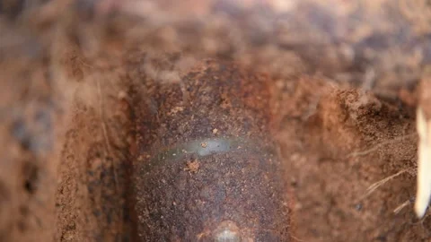 Looking at an Unearthed Unexploded WW2 Artillery Shell in Dirt Stock Footage 292284740