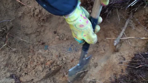 Looking at an Unearthed Unexploded WW2 Artillery Shell VLOG Stock Footage 292284852