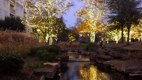 Looking upstream, pan across trees with white lights and green Christmas tree Vídeo Stock 145110625