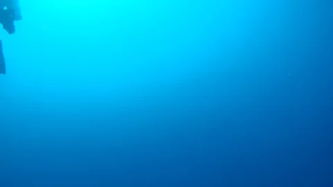 Looking upwards at scuba divers floating near the surface on a safety stop. Stock Footage 104114898