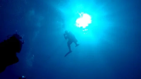 Looking upwards at scuba divers floating near the surface on a safety stop. Stock Footage 104115127