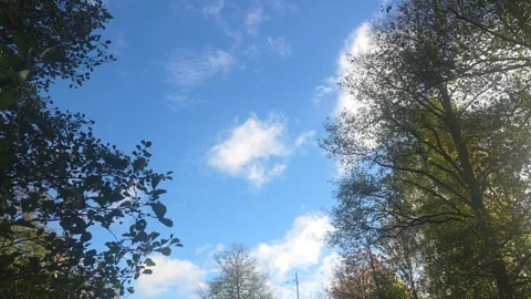 Looking Up Into Vibrant Blue Sky With Fluffy White Clouds Stock Footage 348174222