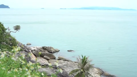 Looking for view of nature and ocean Video stock 153141511