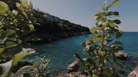 Looking at the water Stock Footage 129242088