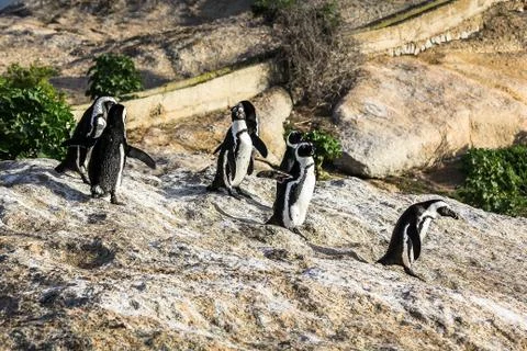 Looking for Water Stock Photos