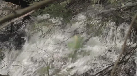 Looking at waterfalls through tree branches Stock Footage 40018885