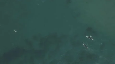 Looking for wave Stock Footage 150255436