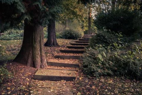 Looking up at well worn caved stone steps in public park leading upwards thro Foto stock