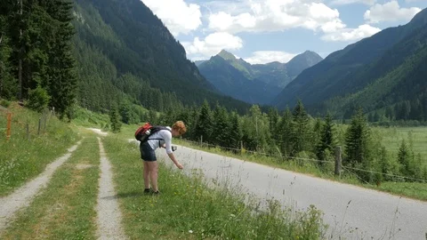 Looking at wild flowers while hiking in the Tettermoor Stock Footage 116135229