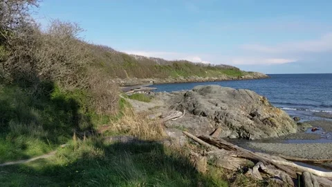 Looking from Willow's Beach to Cattle Point Stock Footage 190809864