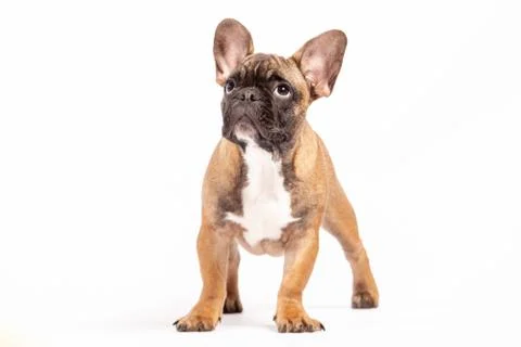 Looking for You Stock Photos