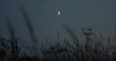 Looking at young moon from meadow in summer night sky point of view shot Stock Footage 123789523