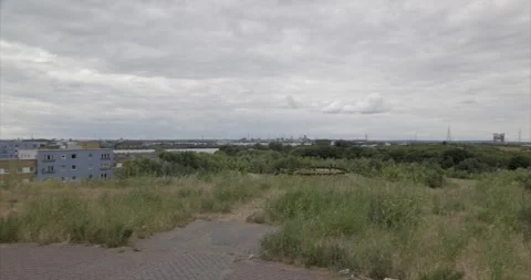 Lookout 02 库存影片 200011077