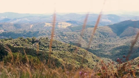 Lookout of the mountains while grass waving in the front Stock Footage 148699378