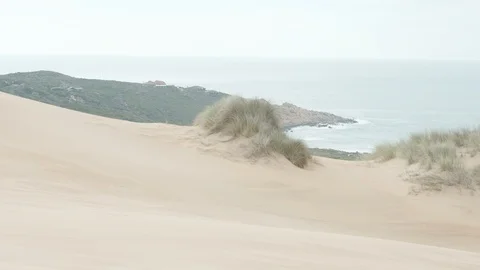 Lookout point from Massive Sand Dunes overlooking the Ocean Stock Footage 124360665