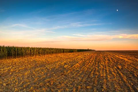 Lookout tower between corn field and empty field after harvesting. Photos