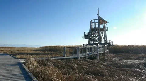 Lookout tower 動画素材 10730857