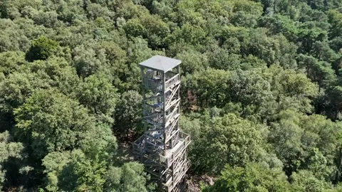 Lookout tower in forest Stock Footage 314836199