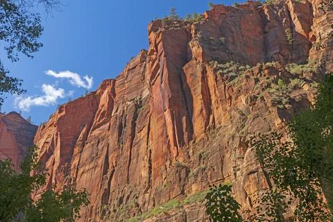 Looming Cliffs in a Deep Canyon Stockfoto's