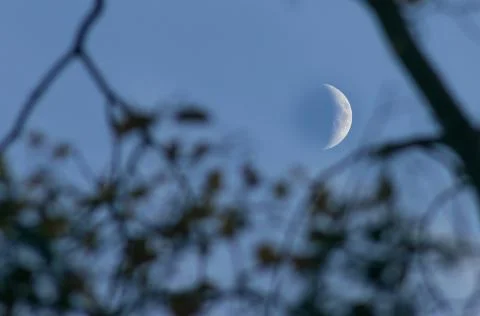 Looming Moon Stock Photos