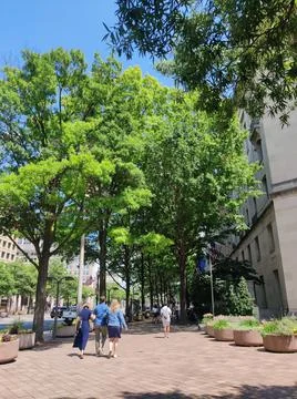 Looming Stock Photos