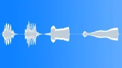 Loon Call (4x) Sound Effect