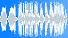 Loon Calls Sound Effect