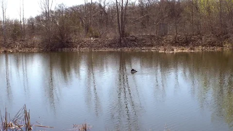 Loon Stockbeeldmateriaal 74605503