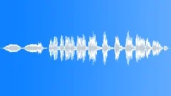 Loon Sound Effect
