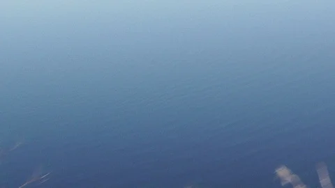 Loon on the water Stock Footage 106676990