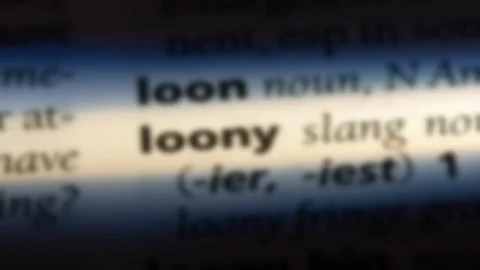 Loony word in a dictionary. Stock Footage 99562900