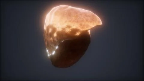 Loop 3d rendered medically accurate animation of the human liver Stock Illustration