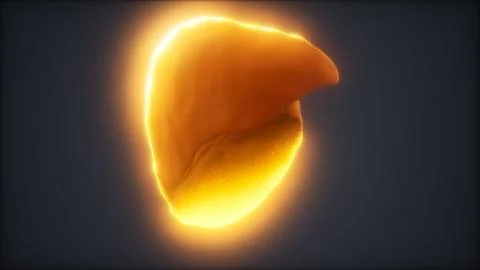 Loop 3d rendered medically accurate animation of the human liver Stock Illustration