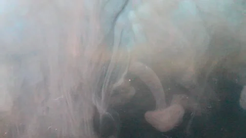 Loop Abstract Color Motion Liquid Effects Concept Stock Footage 164681614