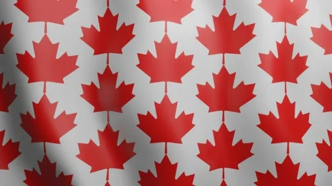 Loop animated pattern with red Canadian maple leaves Stock Footage 153384143
