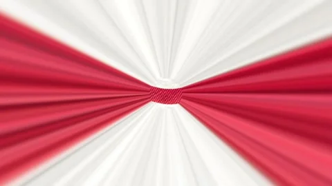 A loop animation abstract radial burst background Stock Footage 317396555