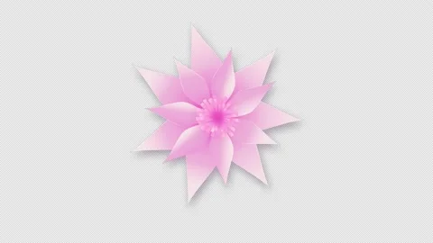 Loop animation of beautiful flower trans... | Stock Video | Pond5