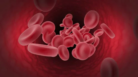 Loop Animation of Blood Cell in Vein HD Video stock 39913916