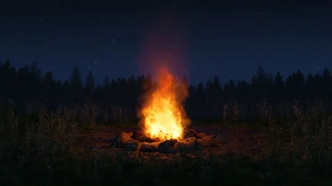Loop Animation of a campfire in front of wild grass and starry sky Video stock 343497120
