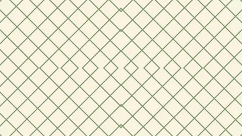 A loop animation diamond grid pattern background Stock-Footage 333840947