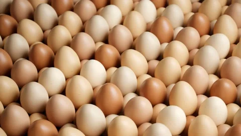A loop animation of enormous numbers of eggs. Raw hen's eggs. Animal products. 動画素材 163551481