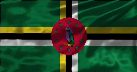 Loop Animation the flag of Domonuca, waving flag 4k animation footage Stock Footage 275299030