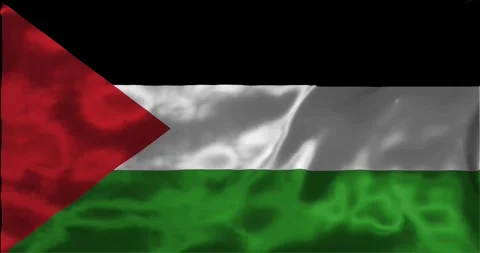 Loop Animation the flag of Palestine, waving flag 4k animation footage Stock Footage 275295884