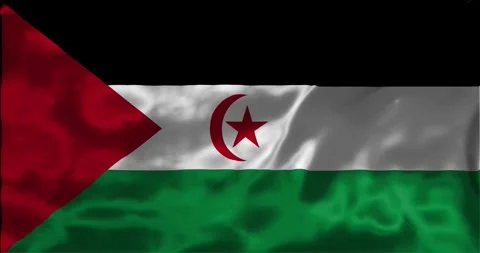 Loop Animation the flag of sahrawi arab democratic republic, waving flag 4k.. Stock Footage 275296766